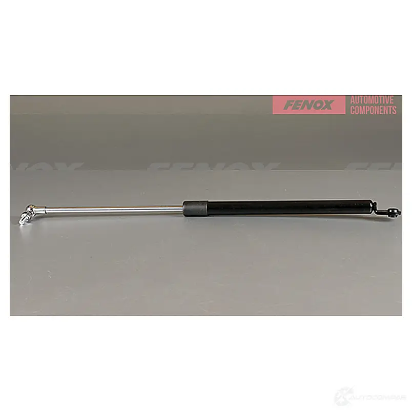 Амортизатор багажника FENOX 1440005492 JW5PE Y A908025