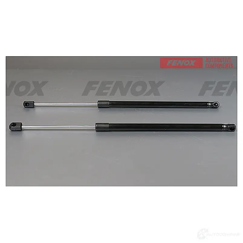 Амортизатор багажника FENOX Y 10FA 1440005512 A908045 изображение 0