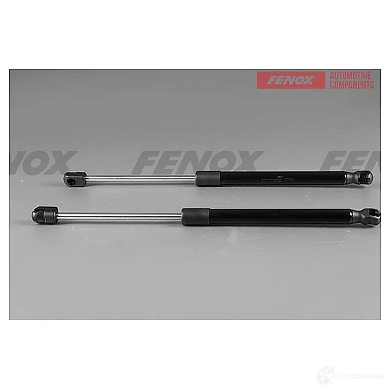 Амортизатор багажника FENOX T U43N 1440005513 A908046 изображение 0
