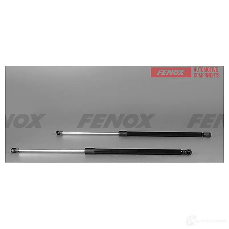 Амортизатор багажника FENOX A908047 J 0EIAHX 1440005514 изображение 0