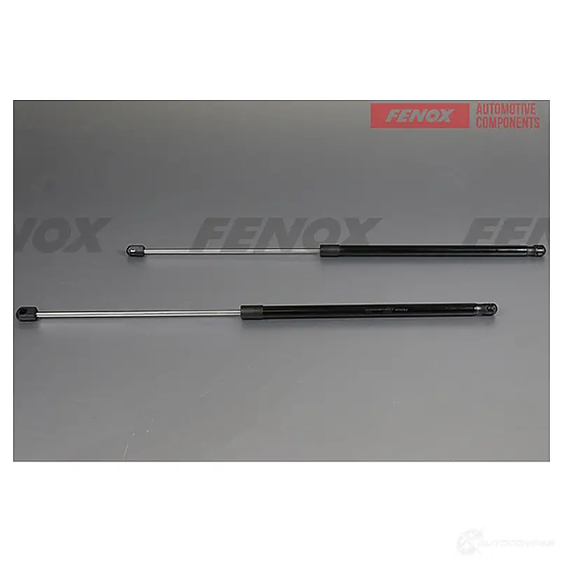 Амортизатор багажника FENOX A908051 1440005518 OJGY 4W4 изображение 0