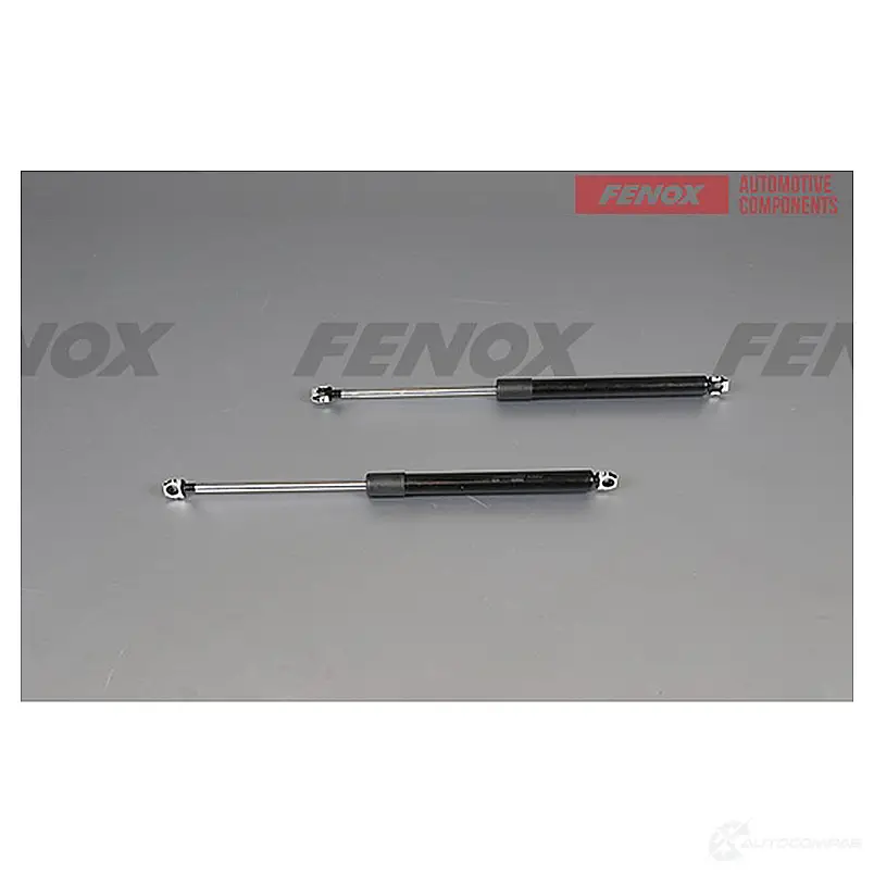 Амортизатор багажника FENOX A908055 1440005522 9 C5C4