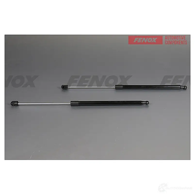 Амортизатор багажника FENOX A908060 RKM4E 2V 1440005526