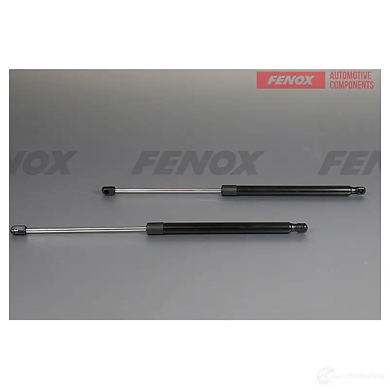 Амортизатор багажника FENOX 1440005533 TW17N3 W A908067
