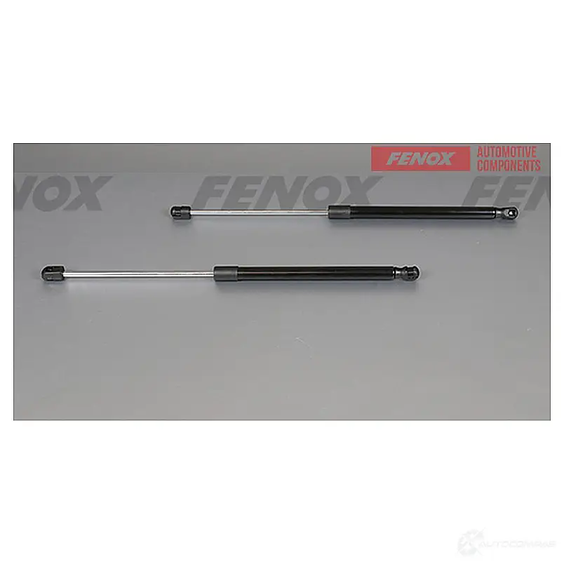 Амортизатор багажника FENOX 1440005543 A908077 AGK4J 9 изображение 0