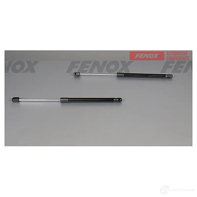Амортизатор багажника FENOX 1440005551 DRN3 1L A908085 изображение 0