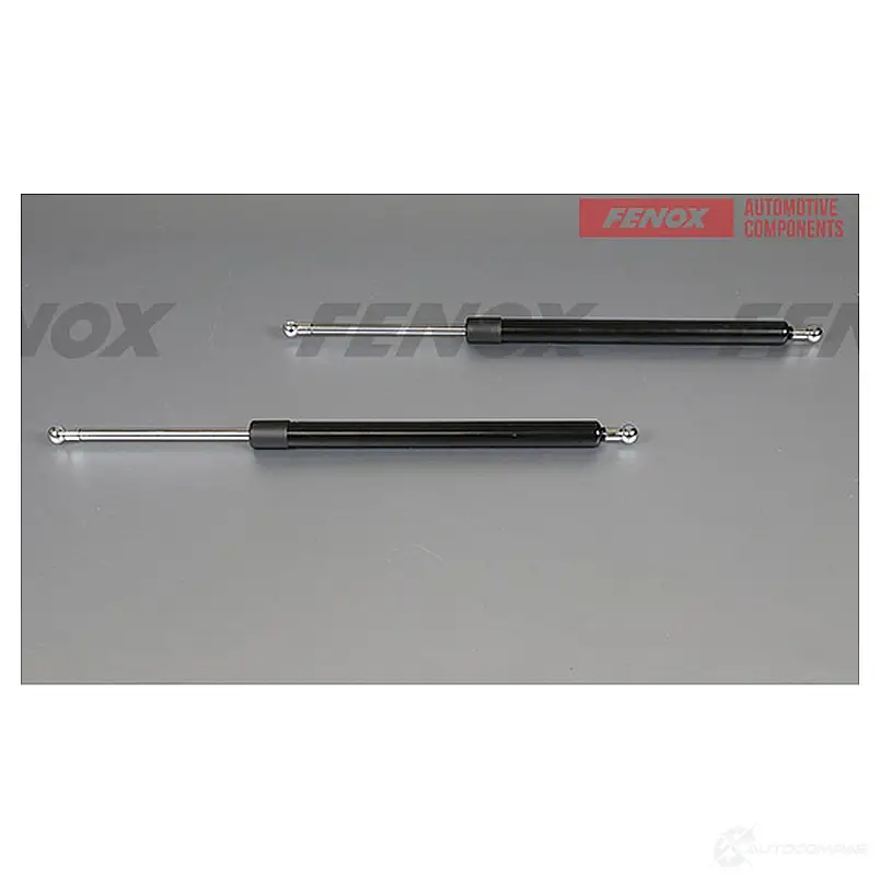 Амортизатор багажника FENOX S80 110T A908106 1440005572 изображение 0