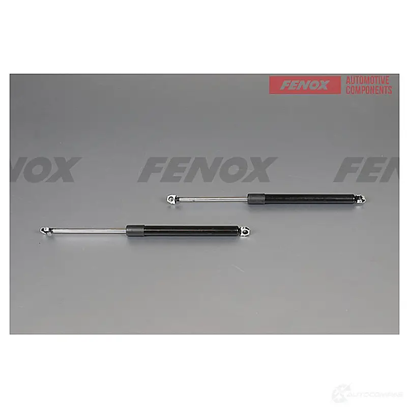 Амортизатор багажника FENOX A908128 0MG SNPF 1440005594 изображение 0