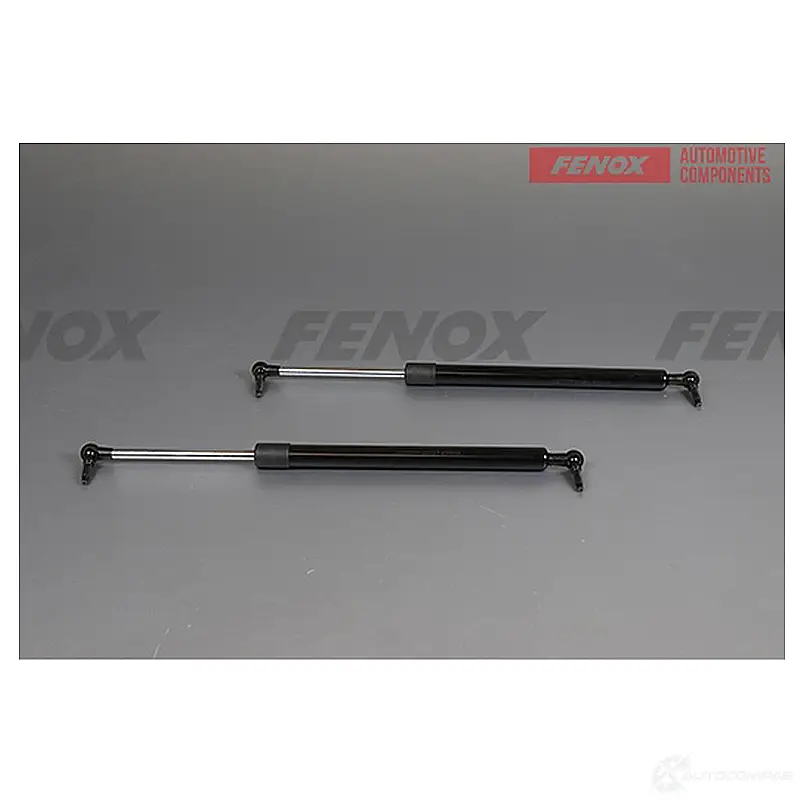 Амортизатор багажника FENOX 1440005595 2 TE0C A908129