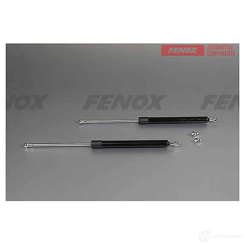 Амортизатор багажника FENOX N2 TWK 1440005597 A908131