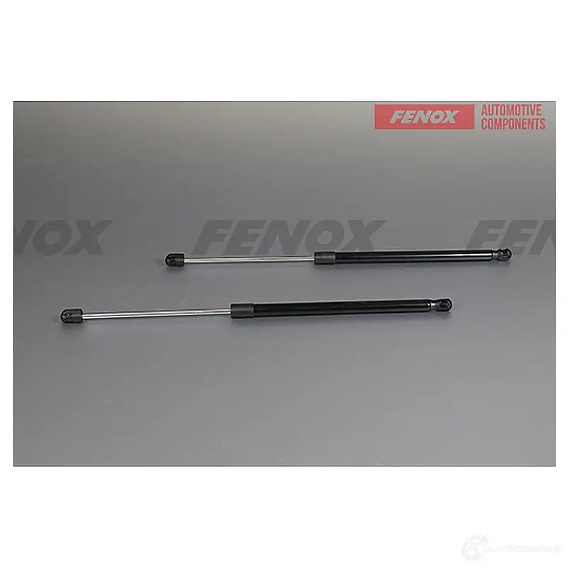 Амортизатор багажника FENOX 1440005618 M5N WA A908152