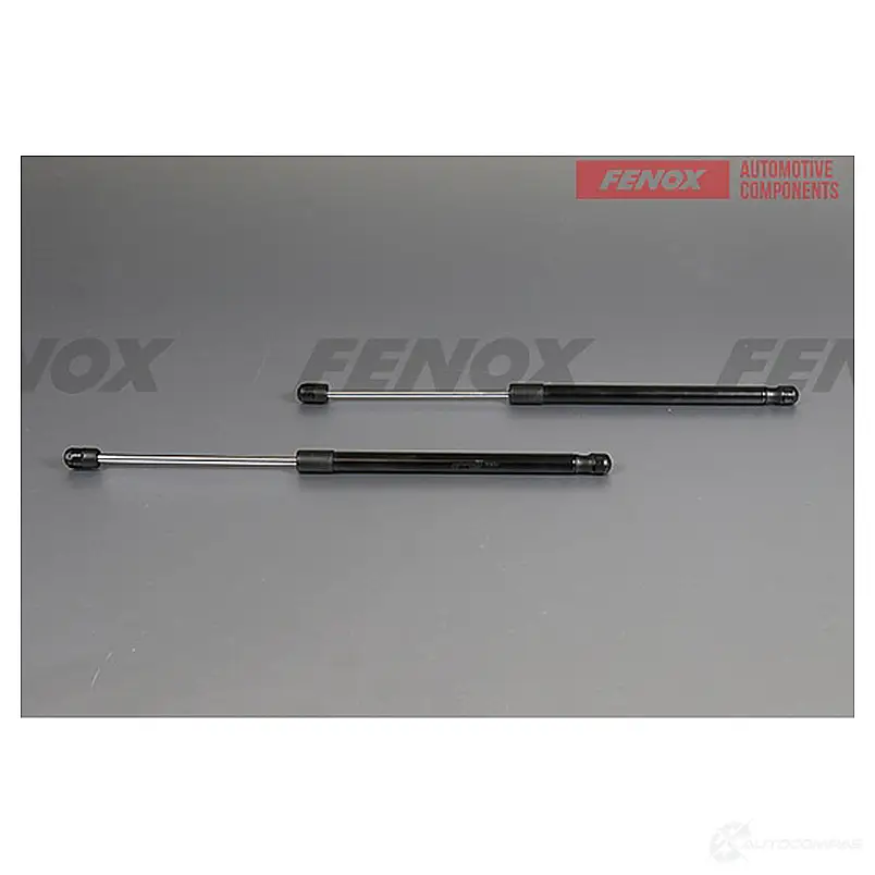 Амортизатор багажника FENOX 4D0IH 4 1440005635 A908174