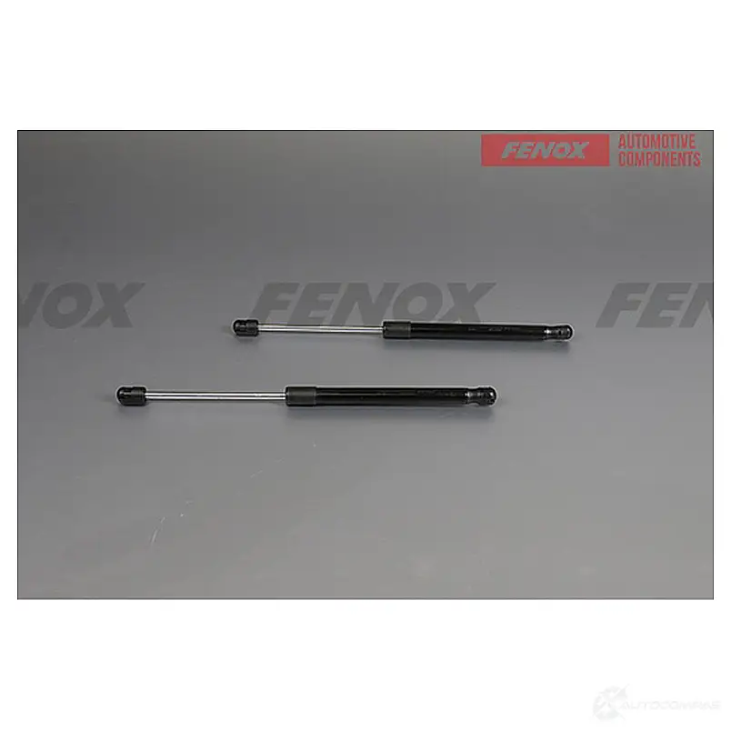 Амортизатор багажника FENOX 1439995743 O7 EQ1OC A908199 изображение 0