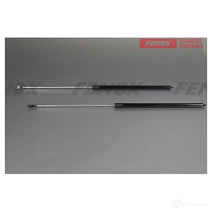Амортизатор багажника FENOX A908206 1439995750 GO ZT61