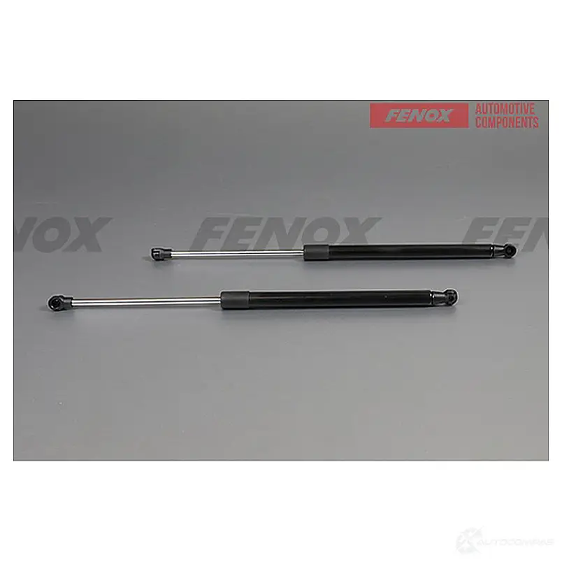 Амортизатор багажника FENOX 1439995754 A908210 4BDM P5