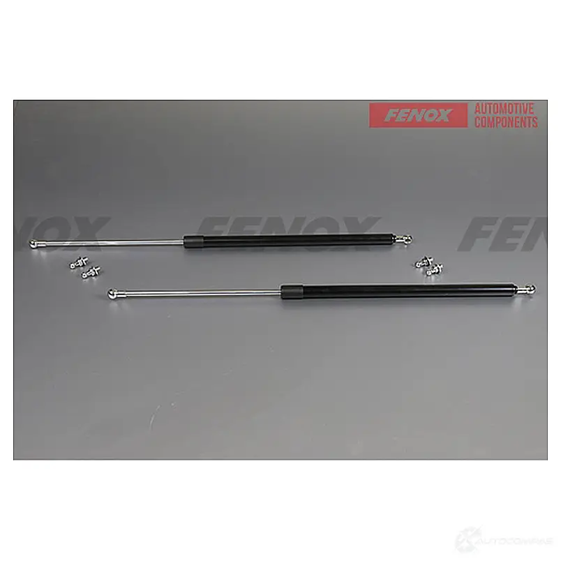 Амортизатор багажника FENOX A908216 XZGW J 1439995760