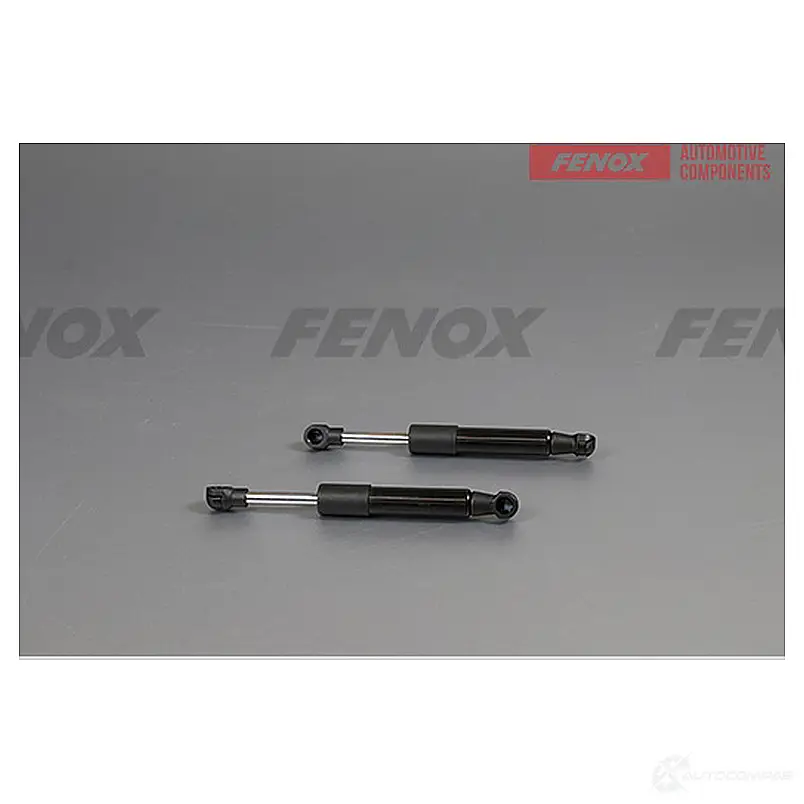 Амортизатор багажника FENOX 1439995770 ULNJT Q A908226 изображение 0