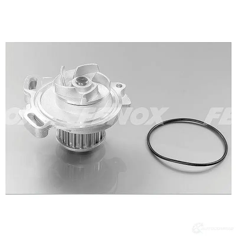 Водяной насос (помпа) FENOX HB1206 2244765 72W T2