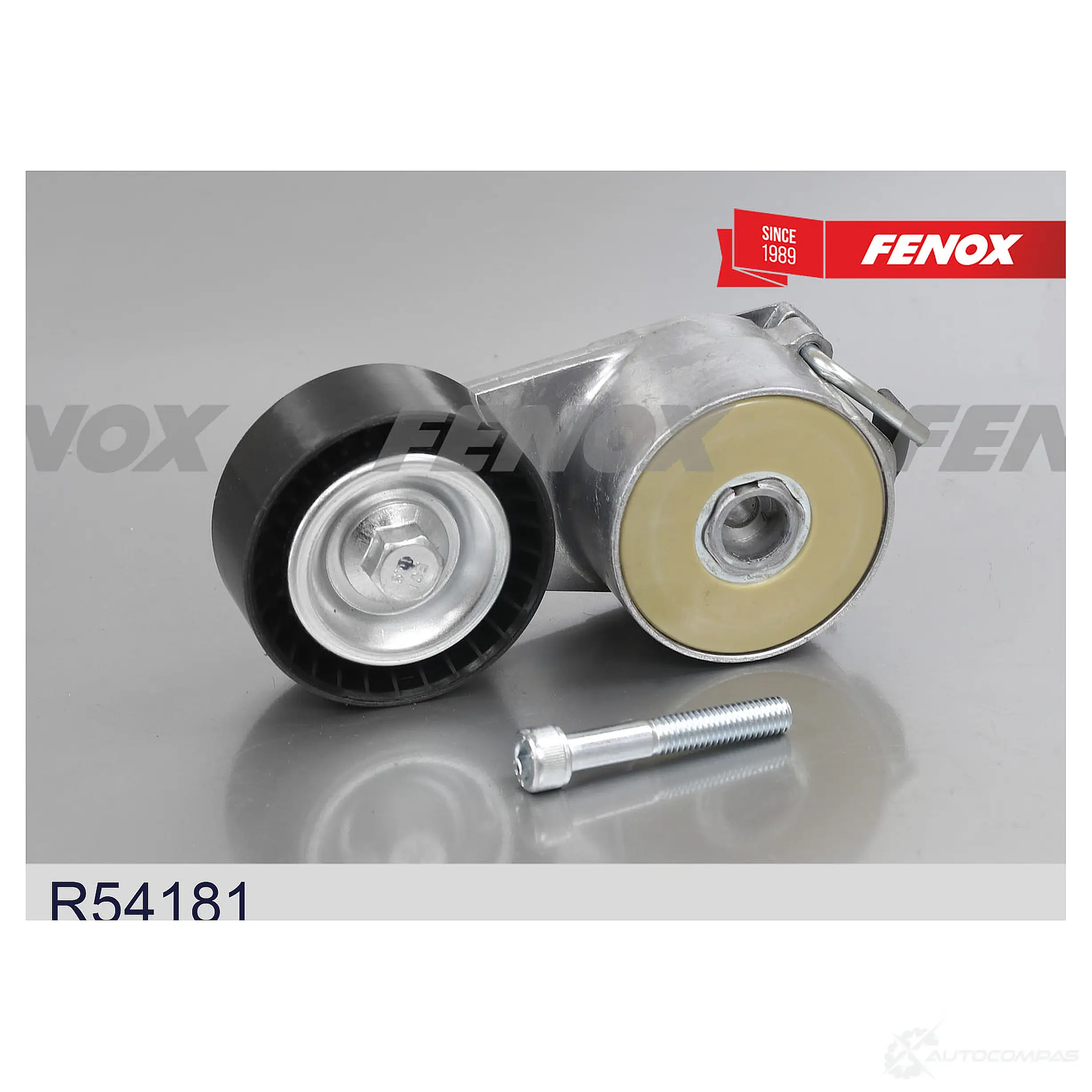 Натяжитель приводного ремня FENOX R54181 1439996140 X GUP92