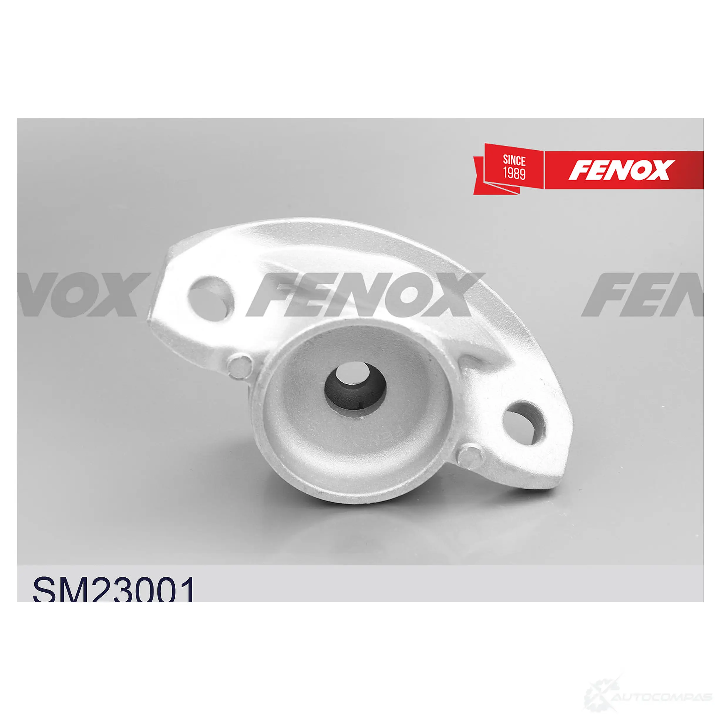 Опорный подшипник FENOX 1439996196 SM23001 Z 9CE0