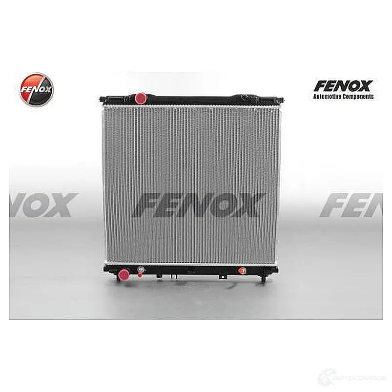 Радиатор охлаждения двигателя FENOX 3EM 4PGX 1223159571 RC00084 изображение 0