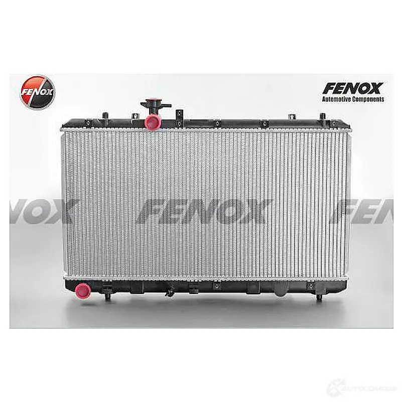 Радиатор охлаждения двигателя FENOX E WM6TN RC00125 1223159843 изображение 0