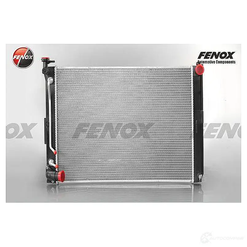 Радиатор охлаждения двигателя FENOX RC00270 1422983095 L0HW F изображение 0