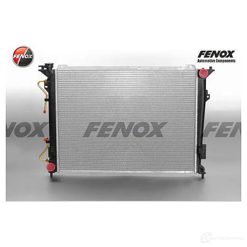 Радиатор охлаждения двигателя FENOX RC00353 89TL L73 1223161979 изображение 0