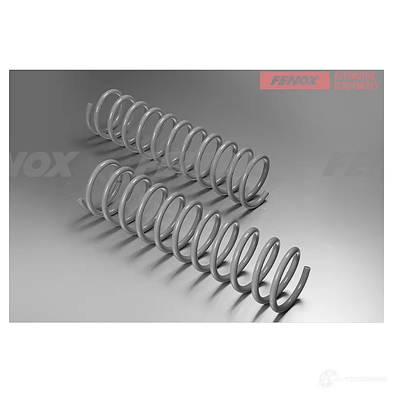 Пружина подвески FENOX SPR11041 WZ I8L 1439996231