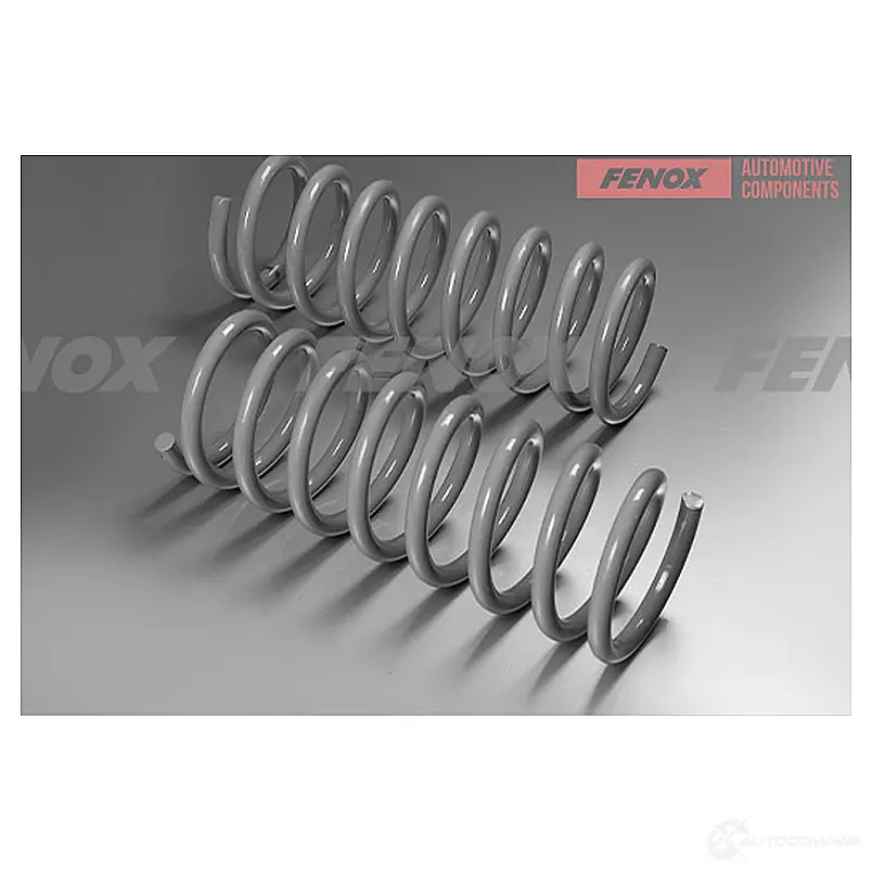 Пружина подвески FENOX 7 Y1SJ 1439996237 SPR11048