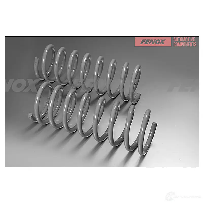 Пружина подвески FENOX 8CRHH LJ SPR11049 1439996238