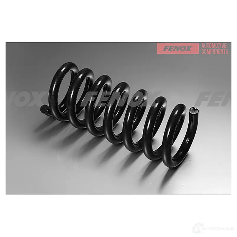 Пружина подвески FENOX 1439996240 EC YU6O SPR11051