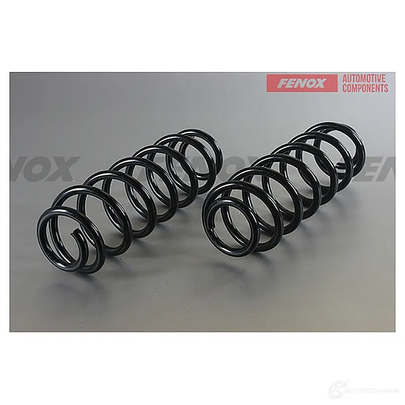 Пружина подвески FENOX 1439996271 M8X5 O SPR16050 изображение 0