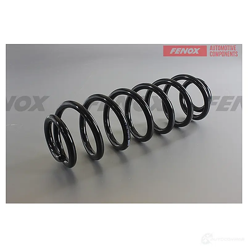 Пружина подвески FENOX GS46O R SPR16052 1439996273