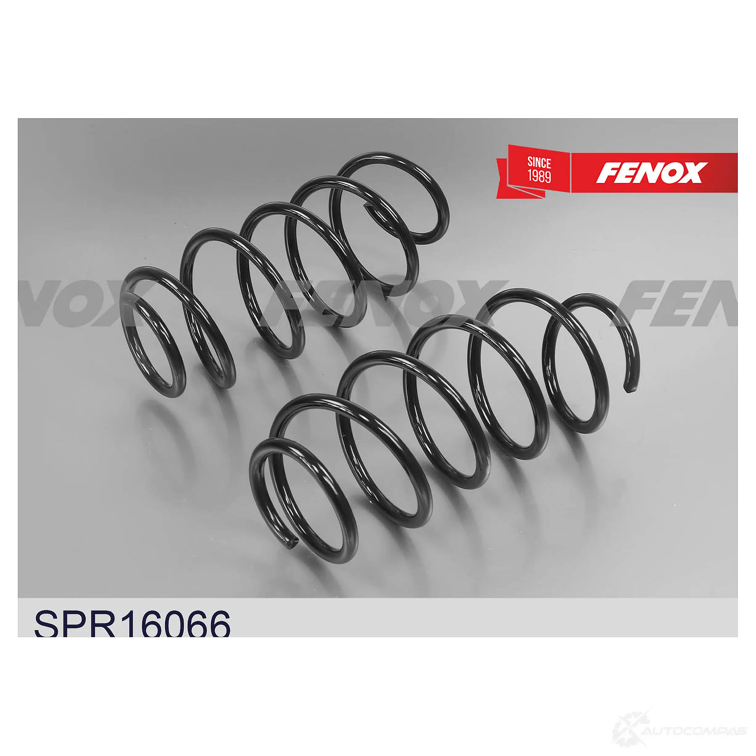 Пружина подвески FENOX BY FDT SPR16066 1439996287