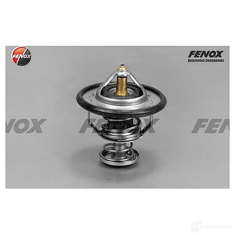 Термостат FENOX TS161 2249930 VH FM0 изображение 0