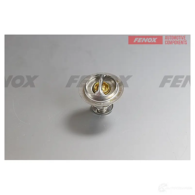 Термостат FENOX 1439996481 TS209 7MFMH K