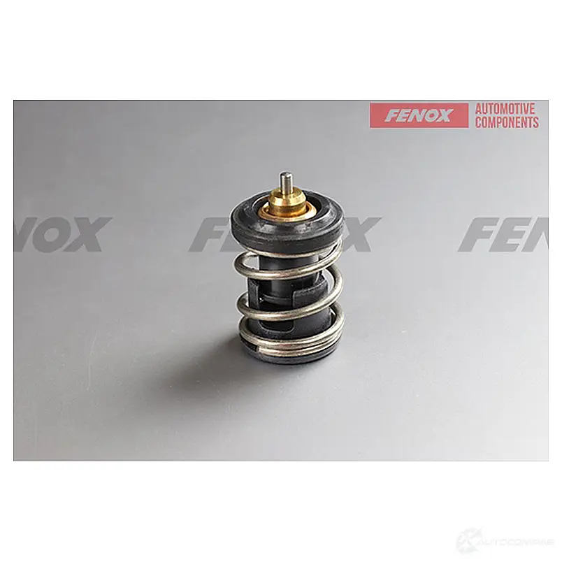 Термостат FENOX 1439996483 J IO7RDQ TS211