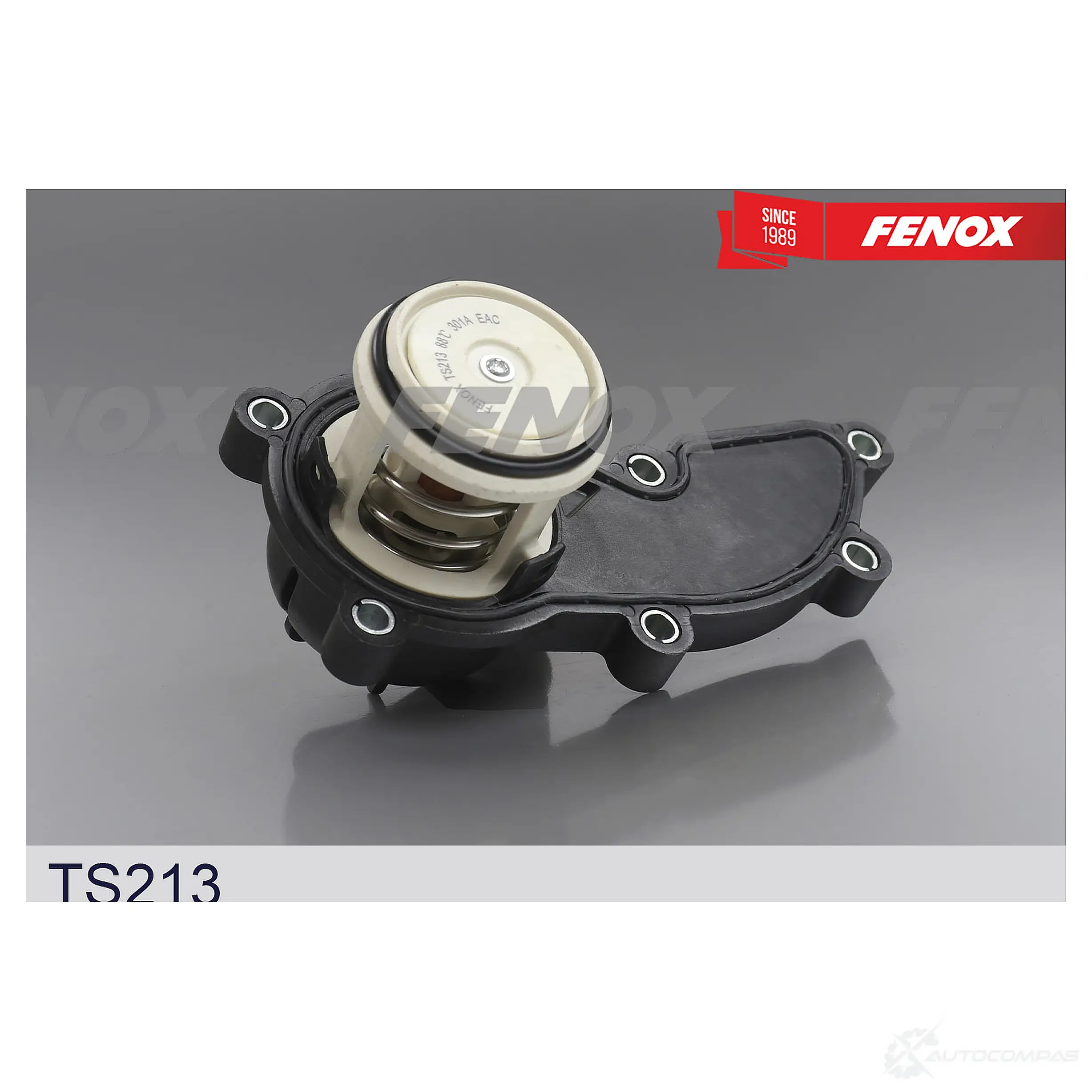 Термостат FENOX B JUQZ3G 1439996485 TS213