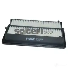 Воздушный фильтр FRAM 5022650285052 GG3 HS 698156 ca11728