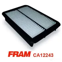 Воздушный фильтр FRAM S PLWF ca12243 1437397230