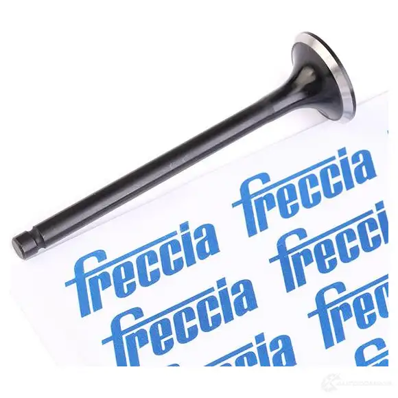 Выпускной клапан FRECCIA R6039/RNT 8112000013293 1958648 4M R7W изображение 1