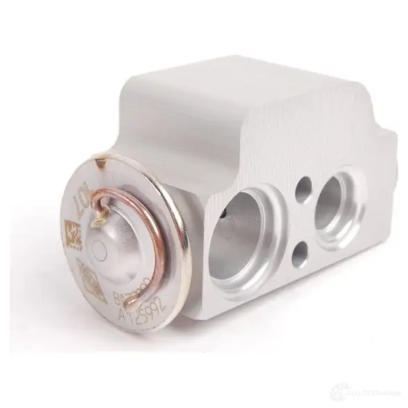 Форсунка расширительного клапана PORSCHE GZ5F W 95557231901 21919708 изображение 0