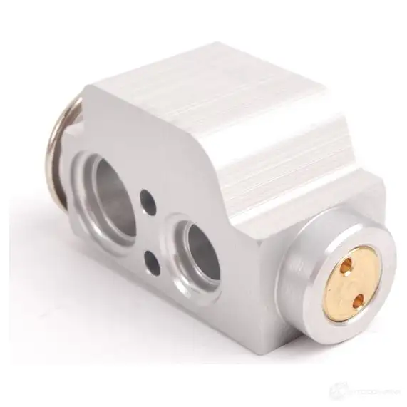 Форсунка расширительного клапана PORSCHE GZ5F W 95557231901 21919708 изображение 2