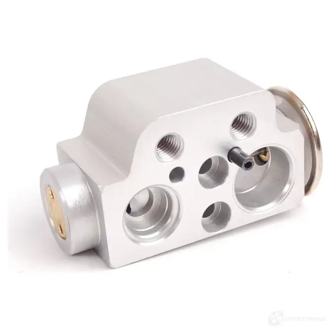 Форсунка расширительного клапана PORSCHE GZ5F W 95557231901 21919708 изображение 3