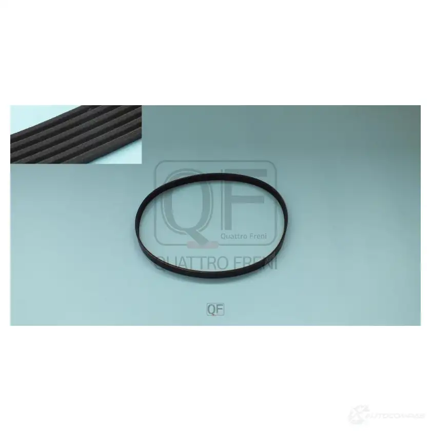 Ремень приводной 6pk1000 QUATTRO FRENI 1439943514 QF21P00002 FZ7CQA Y изображение 0