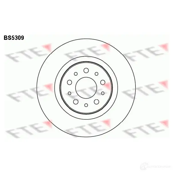 Тормозной диск FTE BS5309 606927 24 MGI 4028569445526