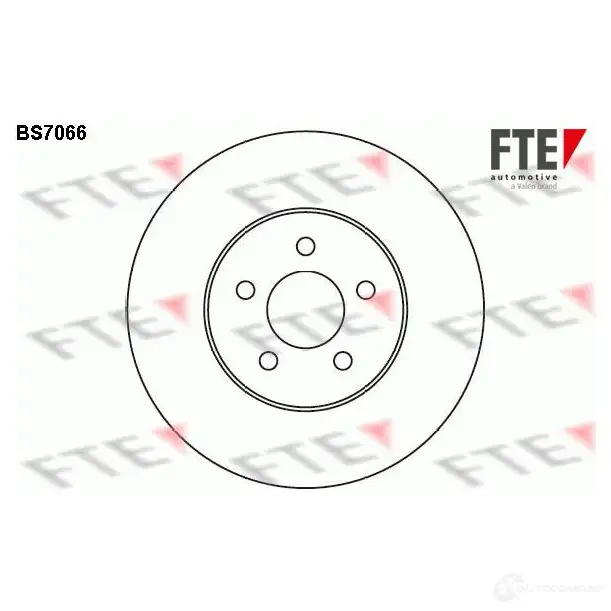 Тормозной диск FTE S0 3RH 4028569446813 607238 BS7066 изображение 0