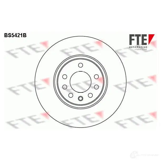 Тормозной диск FTE 4028569694528 607066 DP87B WB BS5421B изображение 0