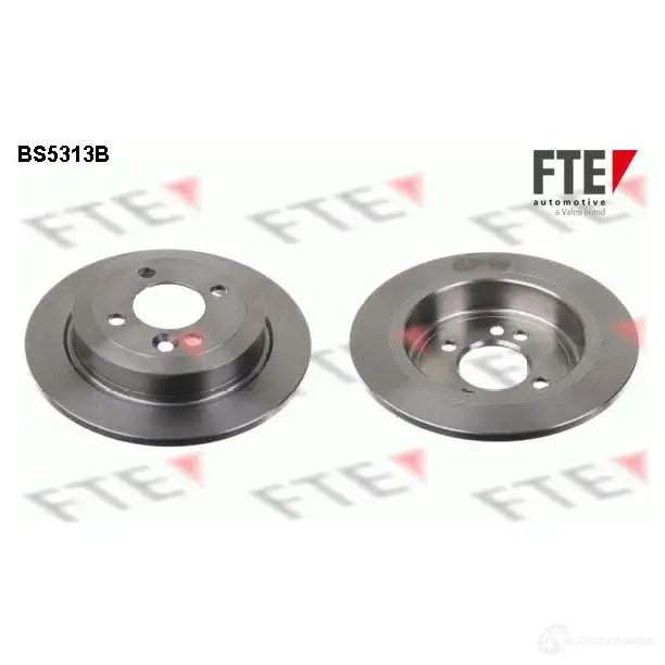 Тормозной диск FTE 606938 FYWHU8 R BS5313B 4028569693897
